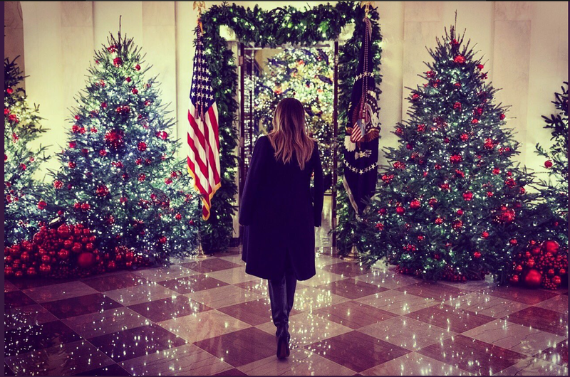 Illustration for article titled Melania, Among Trees